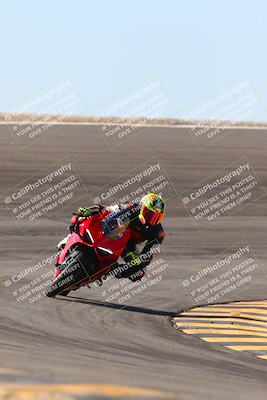 media/Jan-13-2024-SoCal Trackdays (Sat) [[9c032fe5aa]]/Bowl Exit Set 2 (1135am)/